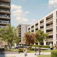 w-arb80-p-r25003-003