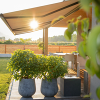 w-cleo5530-p-r23026-008