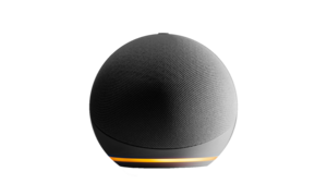 w-image-unsplash-jonathan-borba-JrjA12c-4Hg-alexa-echo-dot_freigestellt