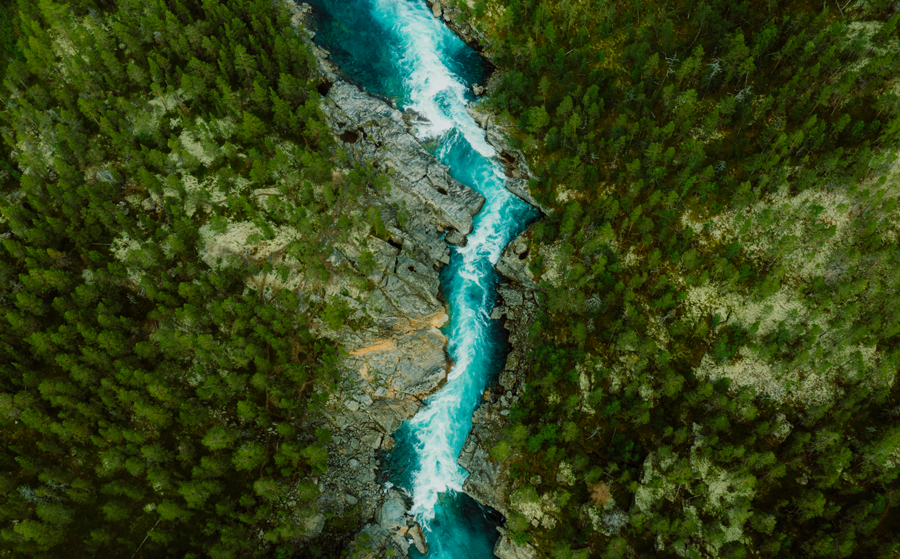 w-image-istock-1458782106-001